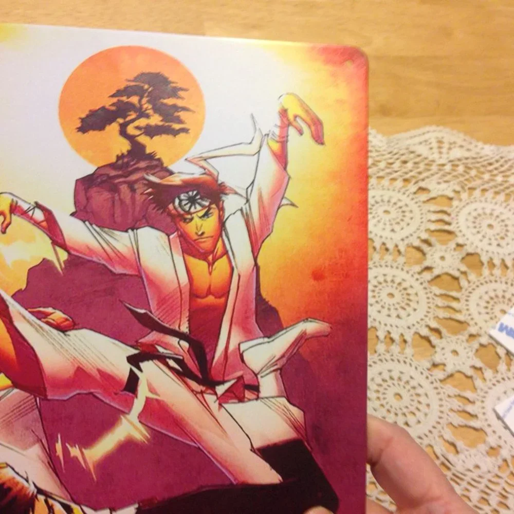 Anime Kung Fu thin metal wall art, new